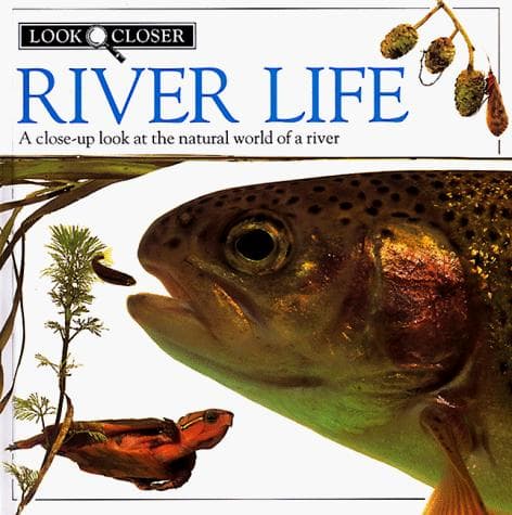 Cover of River life
