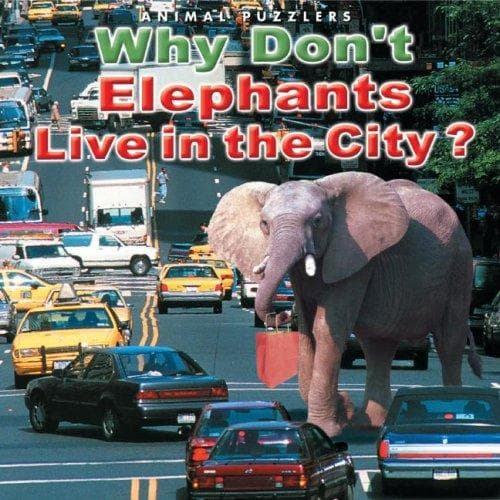 Cover of Why don't elephants live in the city?