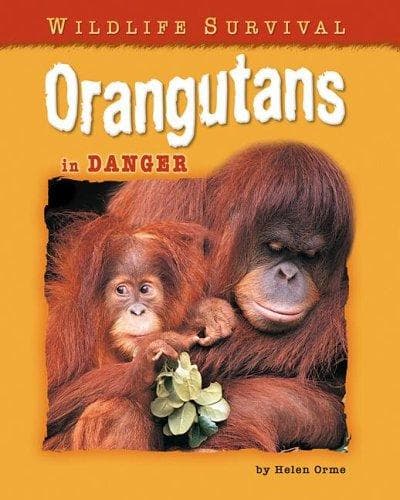 Cover of Orangutans in Danger (Wildlife Survival)
