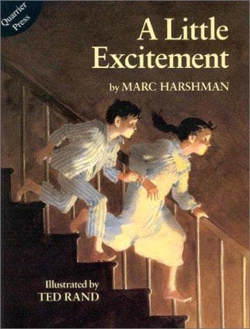 Cover of A little excitement