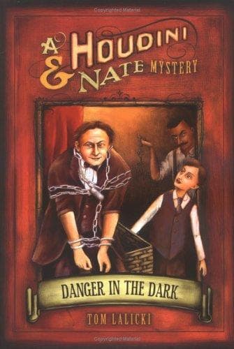 Cover of Danger in the dark