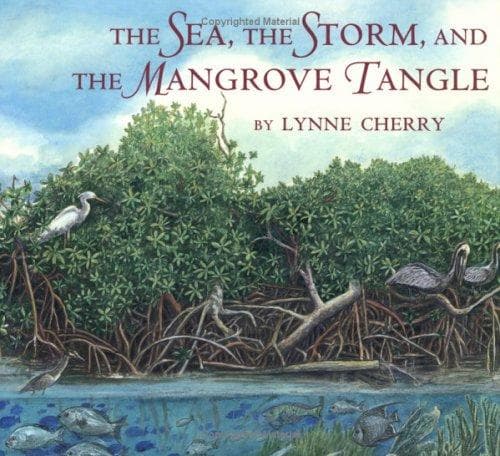 Cover of The sea, the storm, and the mangrove tangle