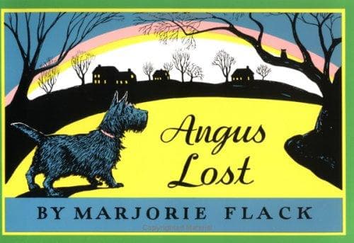 Cover of Angus lost