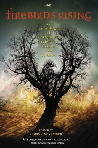 Cover of Firebirds Rising