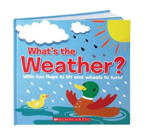 Cover of What's The Weather? (Little Secrets)
