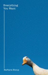 Cover of Everything you want