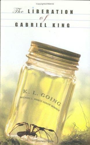 Cover of The liberation of Gabriel King