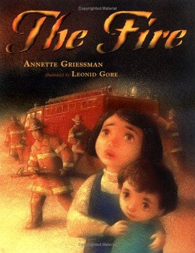 Cover of The fire