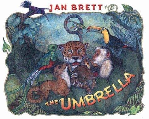 Cover of The umbrella