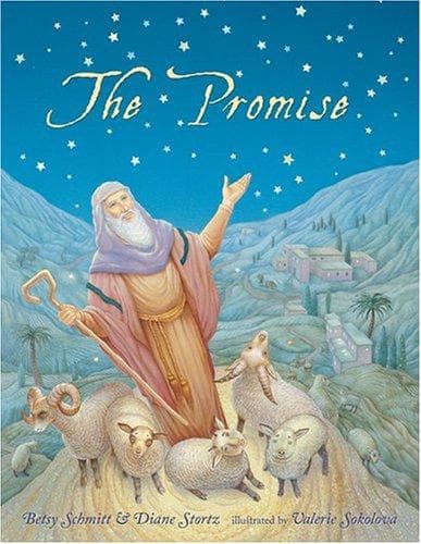 Cover of The promise of Abraham