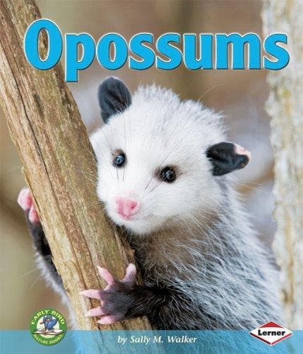 Cover of Opossums