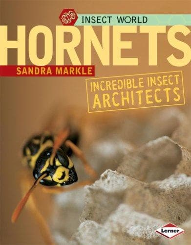 Cover of Hornets
