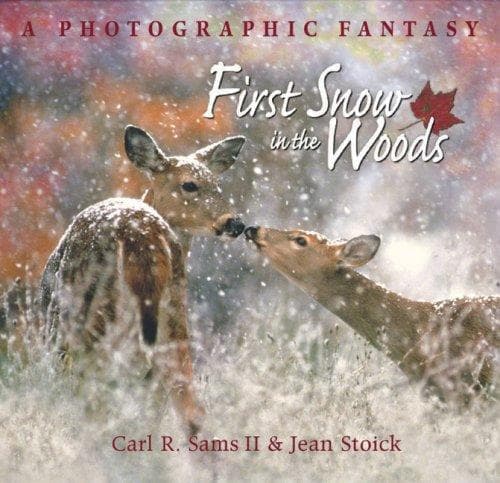 Cover of First snow in the woods