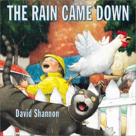 Cover of The rain came down