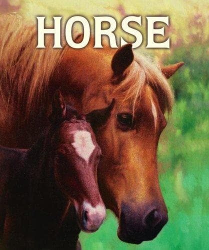 Cover of Horse