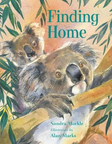 Cover of Finding Home