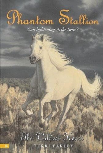 Cover of Phantom Stallion #16
