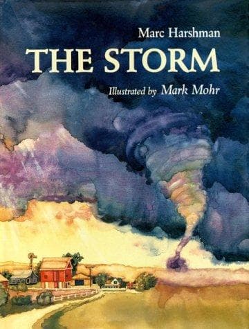 Cover of The storm