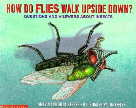 Cover of How do flies walk upside down?