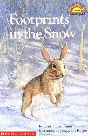 Cover of Footprints in the snow