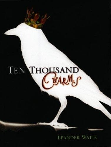 Cover of Ten thousand charms
