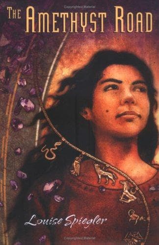 Cover of The amethyst road