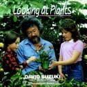 Cover of Looking at plants
