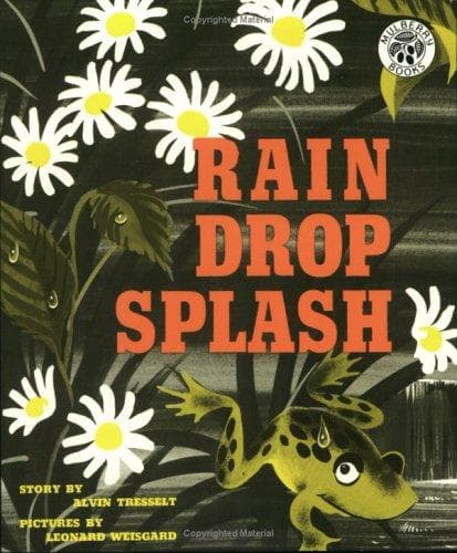 Cover of Rain Drop Splash