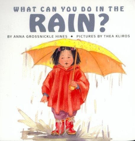 Cover of What can you do in the rain?