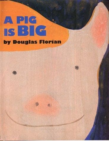 Cover of A pig is big