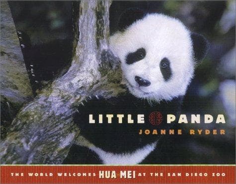 Cover of Little Panda