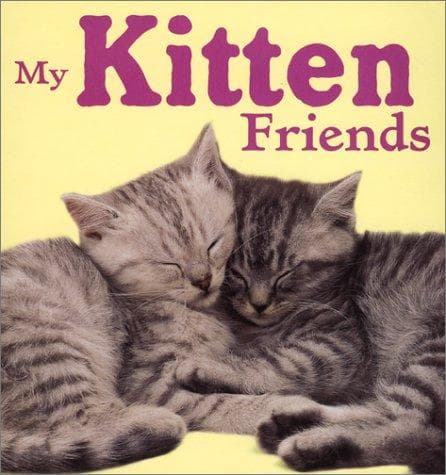 Cover of My kitten friends