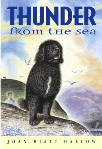 Cover of Thunder from the sea