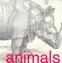 Cover of Animals in Art (Children's Art Series from the National Gallery of Victoria)