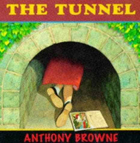 Cover of The tunnel