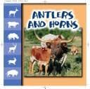 Cover of Antlers And Horns (Let's Look at Animal)