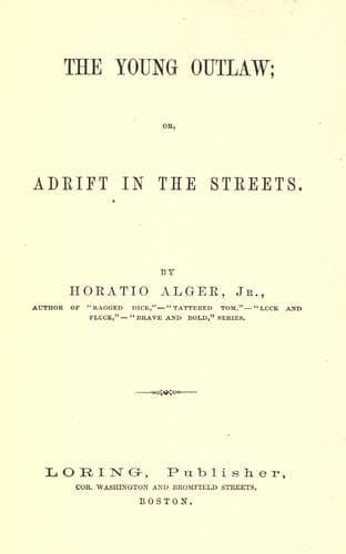 Cover of The young outlaw, or, Adrift in the streets