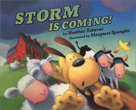Cover of Storm is coming!