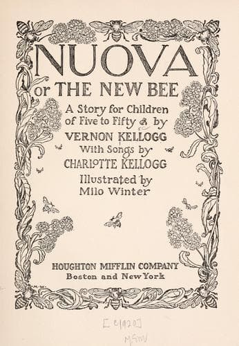Cover of Nuova