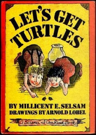 Cover of Let's Get Turtles