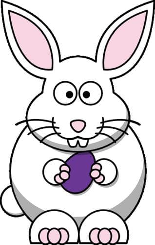 Cover of Where's Bunny's mommy?
