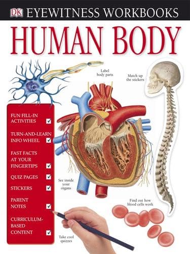 Cover of Human body