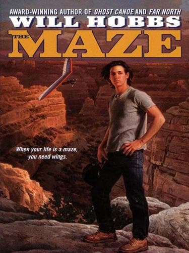 Cover of The Maze