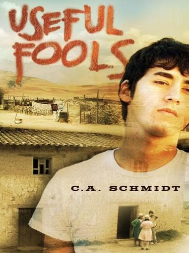 Cover of Useful fools