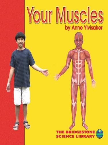 Cover of Your Muscles
