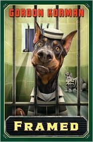 Cover of Framed