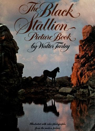 Cover of The black stallion picture book