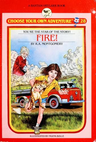 Cover of Fire!