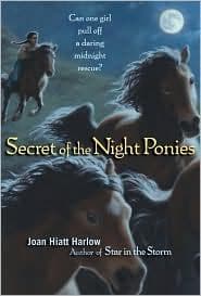 Cover of Secret of the Night Ponies