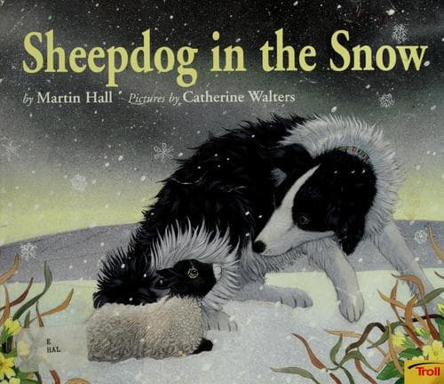 Cover of Sheepdog in the snow
